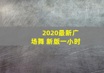 2020最新广场舞 新版一小时